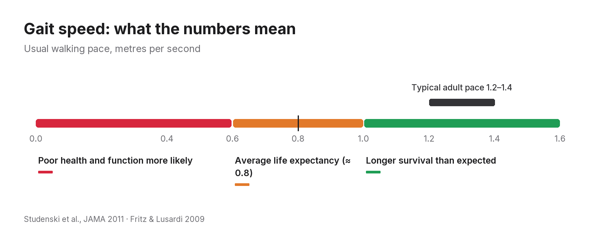 Gait speed scale from 0 to 1.6 m/s: under 0.6 poor health and function more likely, about 0.8 average life expectancy, 1.0 or more longer survival; typical adult pace 1.2 to 1.4
