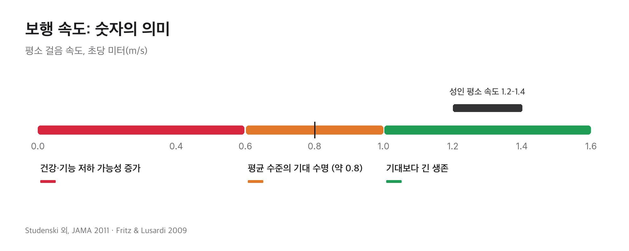 0–1.6m/s 보행 속도 척도: 0.6 미만 건강·기능 저하 가능성, 약 0.8 평균 기대 수명, 1.0 이상 기대보다 긴 생존, 성인 평소 속도 1.2–1.4