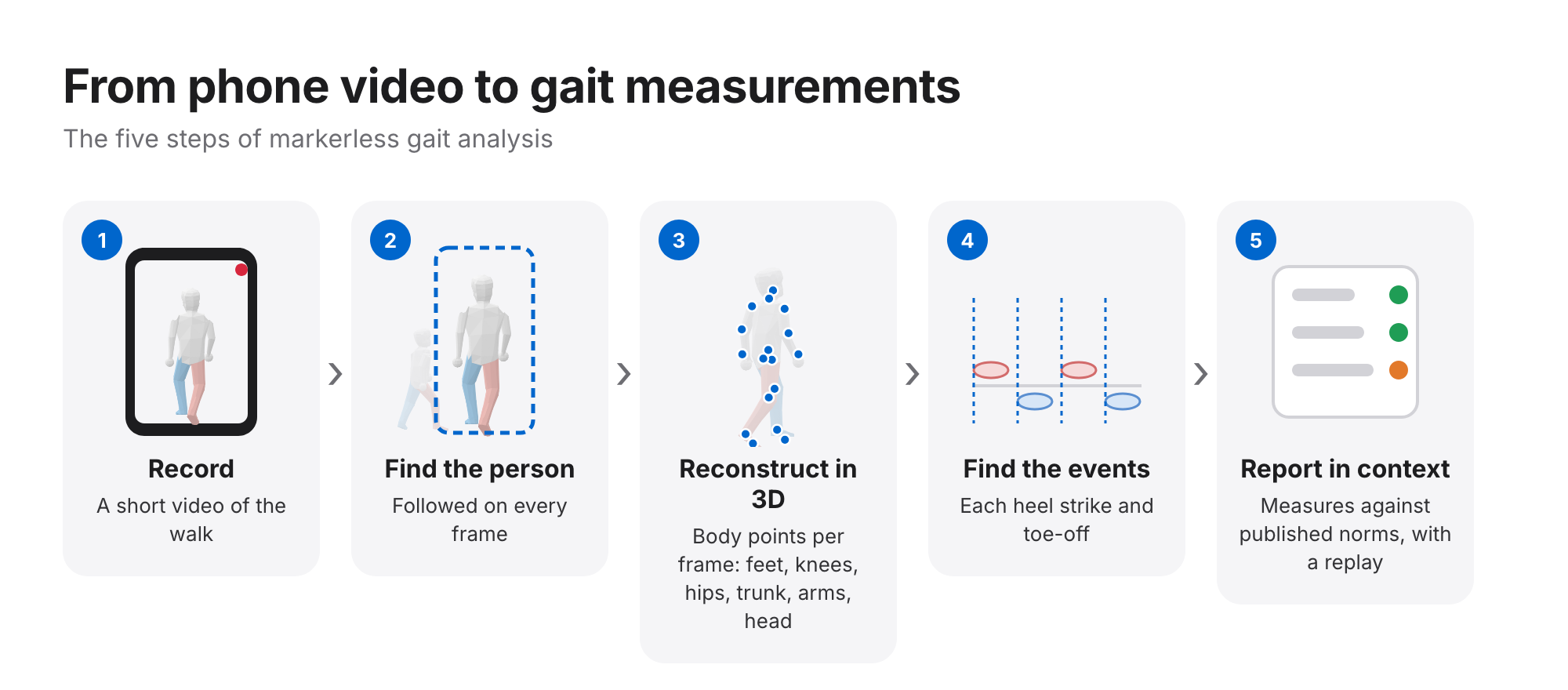 Five-step pipeline: record a short video, find the person on every frame, reconstruct body points in 3D, find each heel strike and toe-off, report measures against published norms with a replay