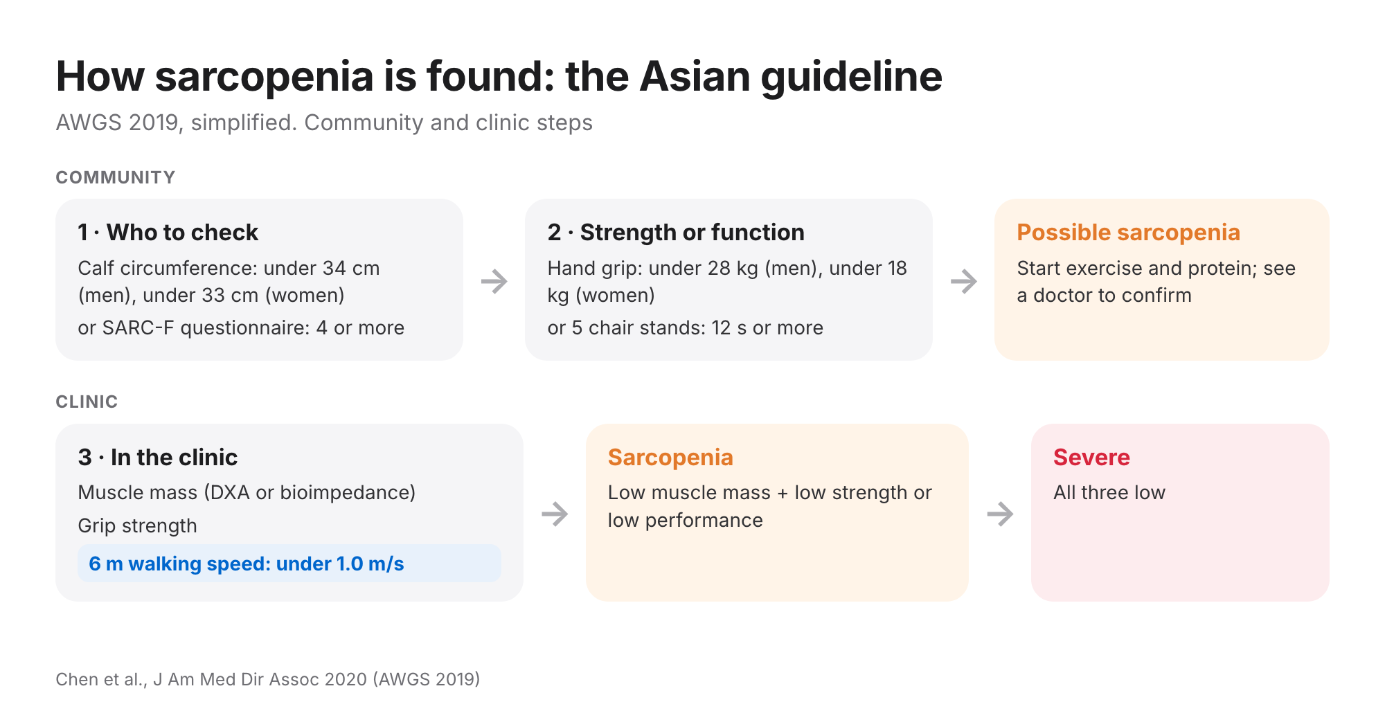 AWGS 2019 sarcopenia pathway: calf circumference or SARC-F, then hand grip or chair stands for possible sarcopenia, then muscle mass, grip and 6 m walking speed under 1.0 m/s in the clinic