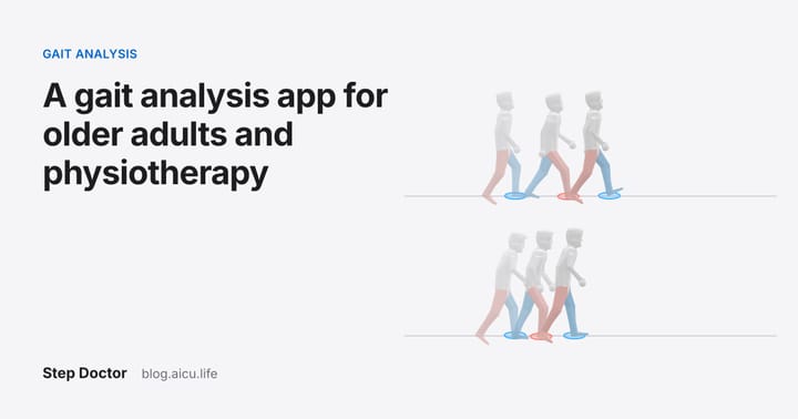A Gait Analysis App for Older Adults and Physiotherapy: What to Measure